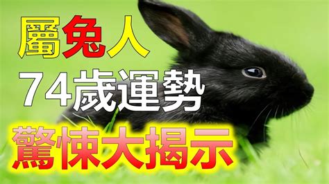 今年兔年|屬兔今年幾歲 兔年是民國西元哪幾年